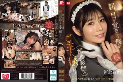 SONE-817 Kawakita Saika ฝันที่เป็นจริงกับนางเอกเอวี